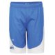 Union Falcons Amstetten Short COLLEGE royal/weiß Front