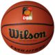 Wilson Evolution Game Basketball DBB